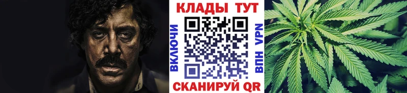 Виды наркоты Анжеро-Судженск Cocaine  Меф мяу мяу  Гашиш 