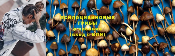 гидропоника Алексин