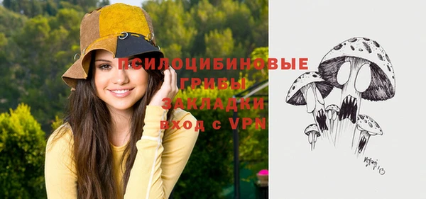 гидропоника Алексин