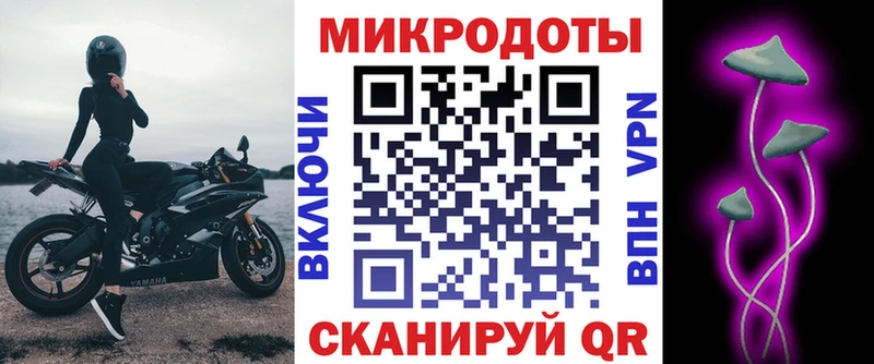 сколько стоит  Анжеро-Судженск  Галлюциногенные грибы Cubensis 