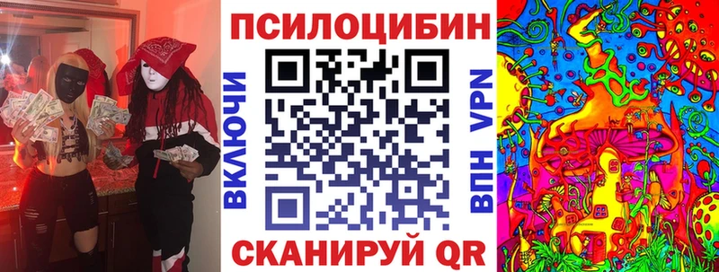 Псилоцибиновые грибы Psilocybe Анжеро-Судженск